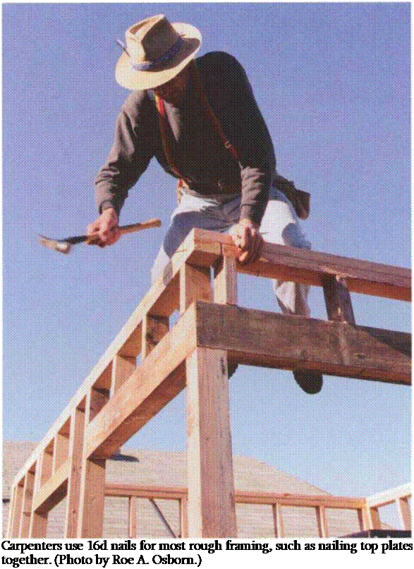 Подпись: Carpenters use 16d nails for most rough framing, such as nailing top plates together. (Photo by Roe A. Osborn.) 