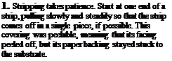 Подпись: 1. Stripping takes patience. Start at one end of a strip, pulling slowly and steadily so that the strip comes off in a single piece, if possible. This covering was peelable, meaning that its facing peeled off, but its paper backing stayed stuck to the substrate.