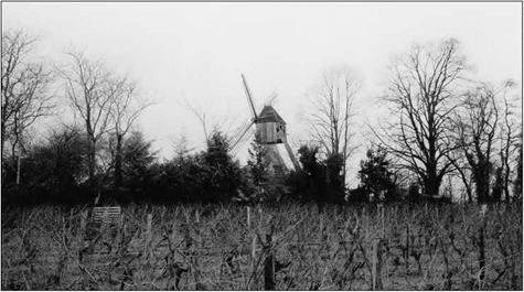 Windmills: medieval innovations?