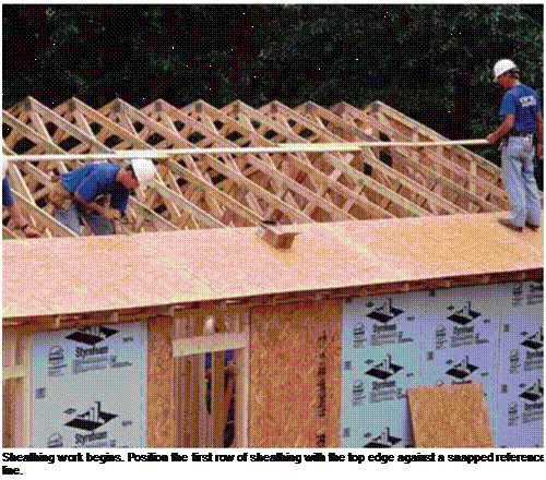 Подпись: Sheathing work begins. Position the first row of sheathing with the top edge against a snapped reference line. 